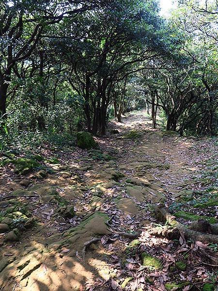 台灣‧新北‧鶯歌、龜山健行(Yingge Hiking)