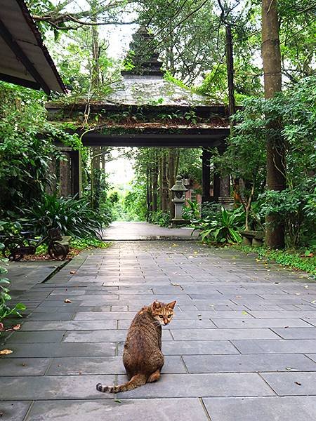 台灣‧台北‧銀河洞、紫南宮越嶺(Muzha Hiking)