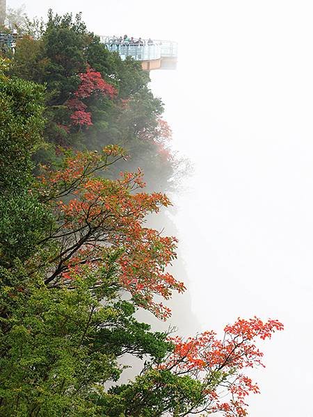 中國‧四川‧劍門關(Jianmenguan)