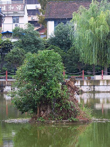 中國‧陝西‧漢中(三)‧舊城(Hanzhong Old Ci