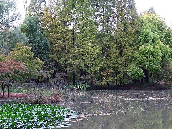 中國‧河南‧洛陽(五)‧隋唐城遺址植物園和十字街(Luoya