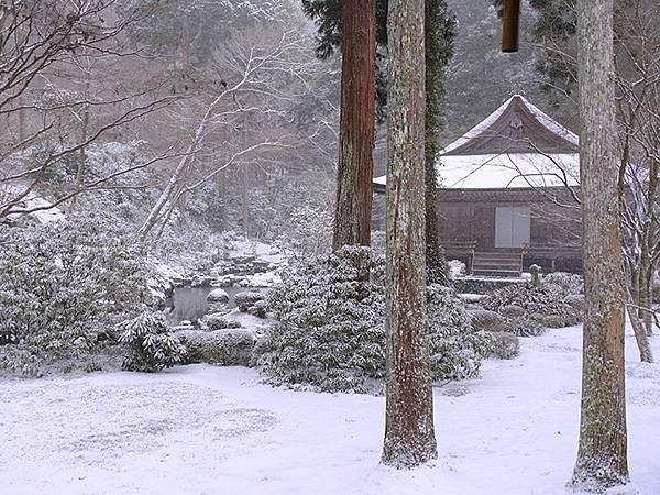 關西賞雪(四)‧大原(上)‧三千院(Kansai Snow 