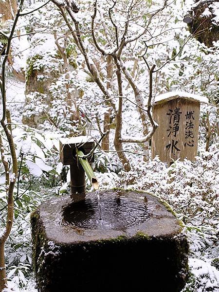 關西賞雪(四)‧大原(上)‧三千院(Kansai Snow 