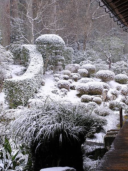 關西賞雪(四)‧大原(上)‧三千院(Kansai Snow 