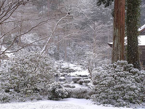 關西賞雪(四)‧大原(上)‧三千院(Kansai Snow 