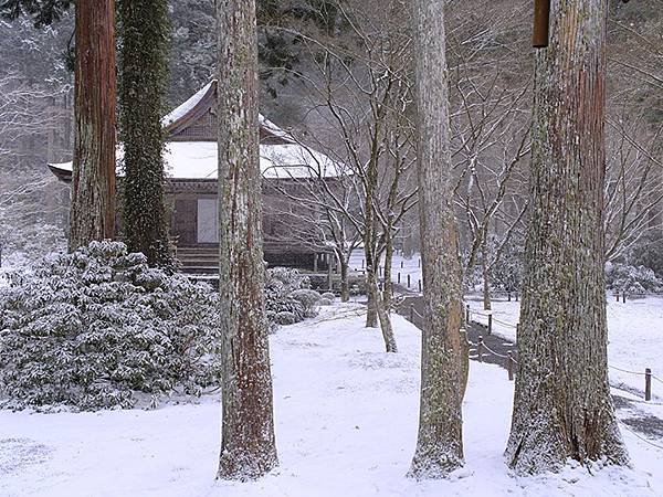 關西賞雪(四)‧大原(上)‧三千院(Kansai Snow 