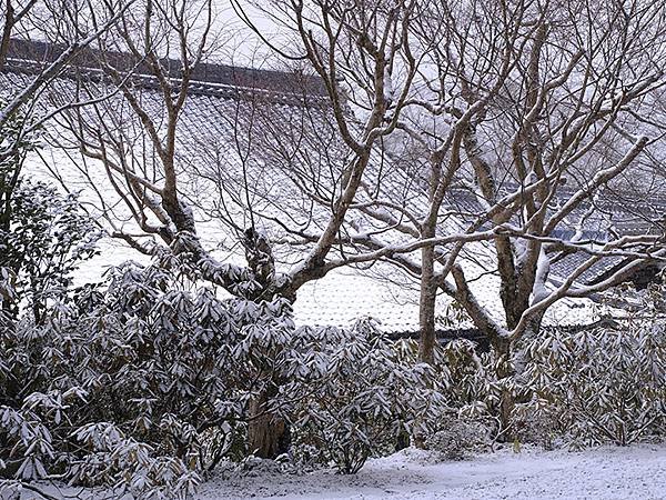 關西賞雪(四)‧大原(上)‧三千院(Kansai Snow 