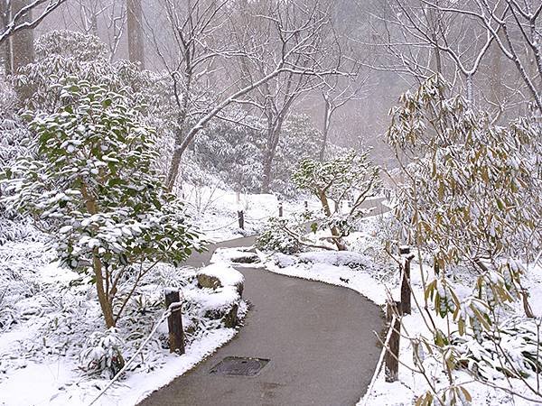 關西賞雪(四)‧大原(上)‧三千院(Kansai Snow 