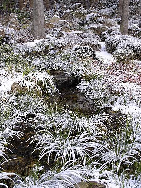 關西賞雪(四)‧大原(上)‧三千院(Kansai Snow 