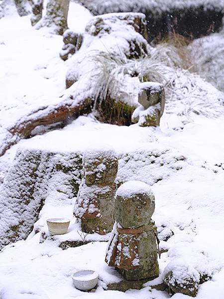 關西賞雪(四)‧大原(上)‧三千院(Kansai Snow 