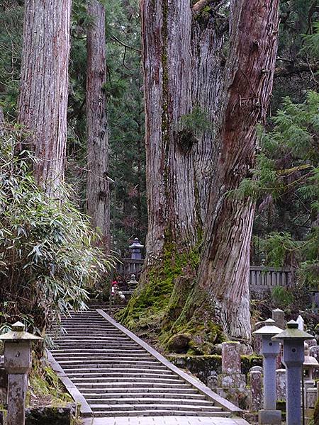 關西賞雪(六)‧高野山(上)‧寺院(Kansai Snow 