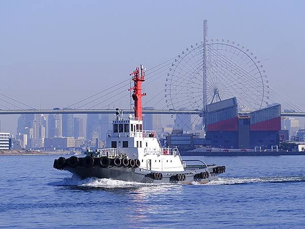 元月關西(二)‧大阪南港野鳥園(Osaka Nankou B