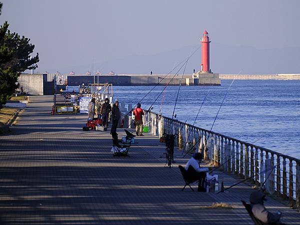 元月關西(二)‧大阪南港野鳥園(Osaka Nankou B