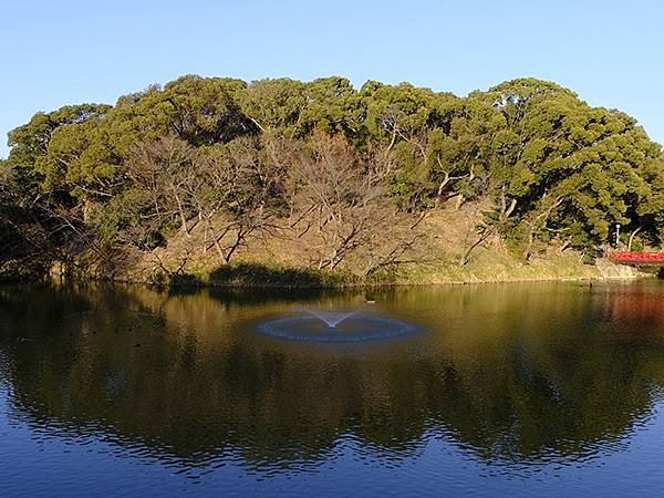 元月關西(二)‧大阪南港野鳥園(Osaka Nankou B