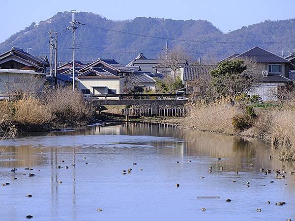 元月關西(五)‧安土城(Azuchi Castle)