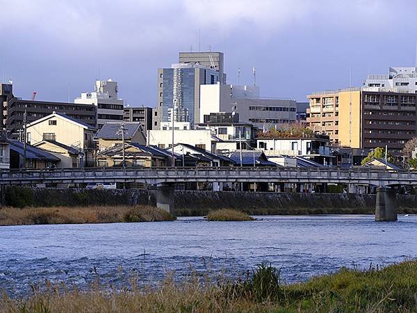 元月關西(八)‧京都鴨川賞鳥(Kamogawa)