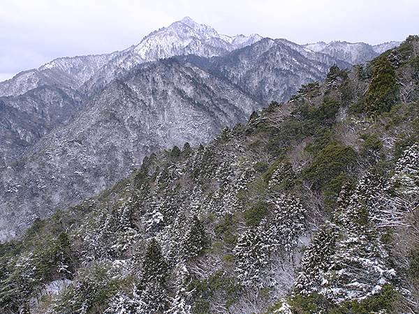 日本‧御在所岳的樹冰(Mount Gozaisho)