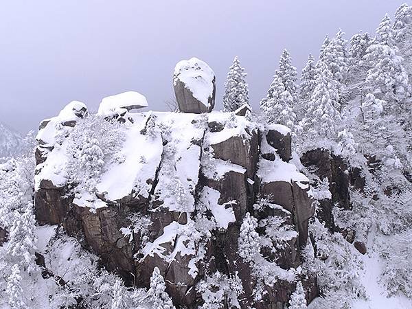 日本‧御在所岳的樹冰(Mount Gozaisho)