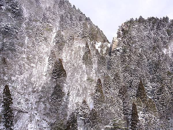 日本‧御在所岳的樹冰(Mount Gozaisho)