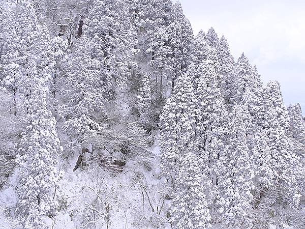 日本‧御在所岳的樹冰(Mount Gozaisho)