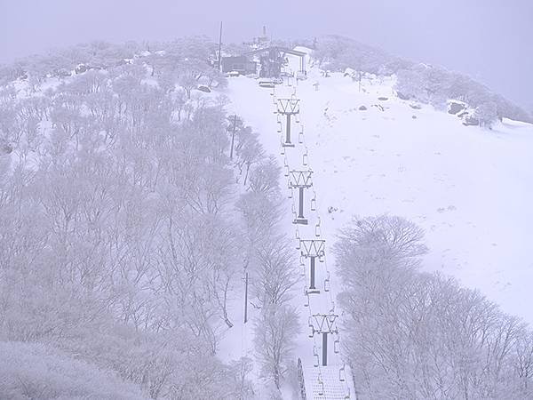 日本‧御在所岳的樹冰(Mount Gozaisho)