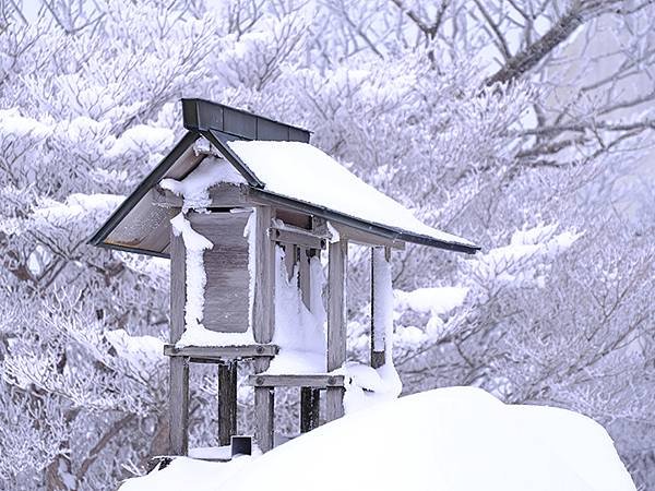 日本‧御在所岳的樹冰(Mount Gozaisho)