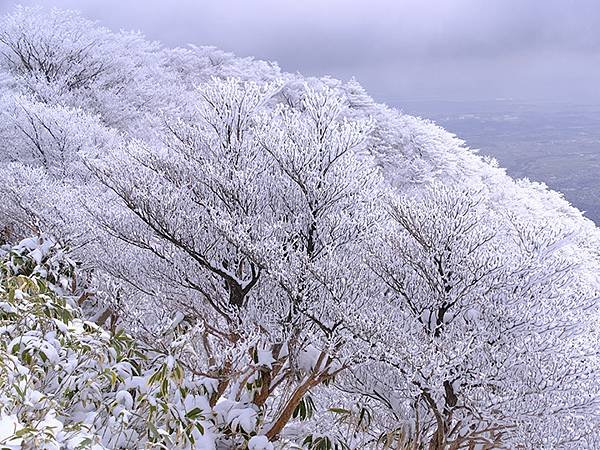 日本‧御在所岳的樹冰(Mount Gozaisho)