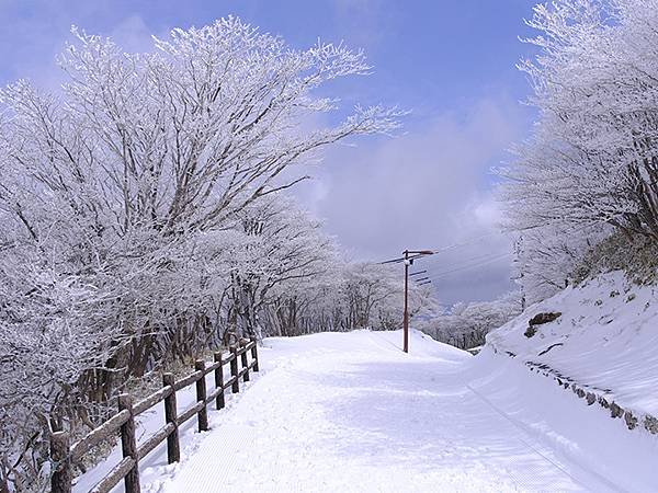 日本‧御在所岳的樹冰(Mount Gozaisho)