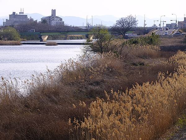 日本‧千里濕地和津市寺廟(Tsu)