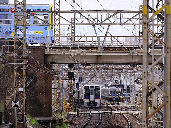 日本‧大阪‧古池龍王和住吉大社(Osaka Sumiyosh