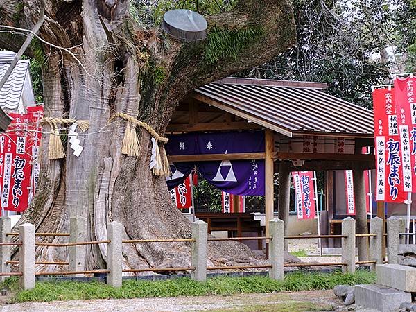 日本‧大阪‧古池龍王和住吉大社(Osaka Sumiyosh