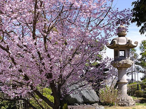 日本‧神戶‧須磨(Kobe Suma)