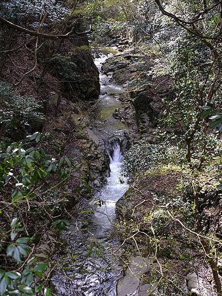 日本‧神戶‧布引香草園(Kobe Nunobiki Herb