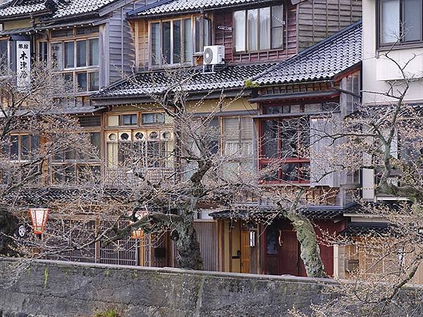 日本‧金澤賞櫻(上)‧心之道(Kanazawa Cherry