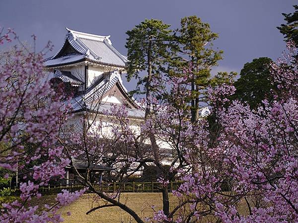 日本‧金澤賞櫻(下)‧兼六園和金澤城(Kanazawa Ch