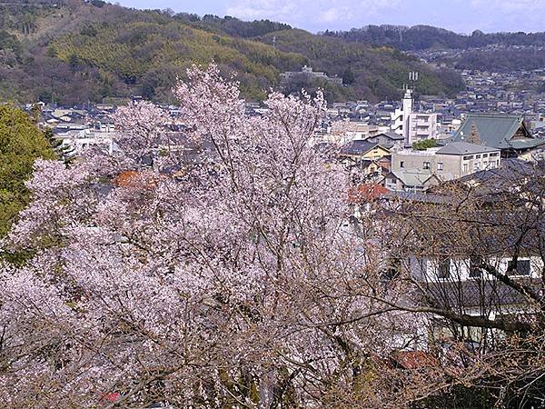 日本‧金澤賞櫻(下)‧兼六園和金澤城(Kanazawa Ch