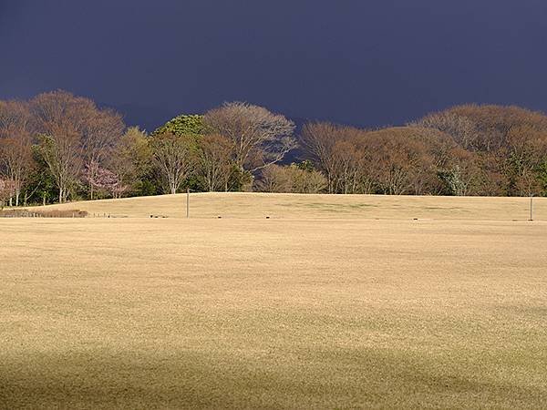 日本‧金澤賞櫻(下)‧兼六園和金澤城(Kanazawa Ch