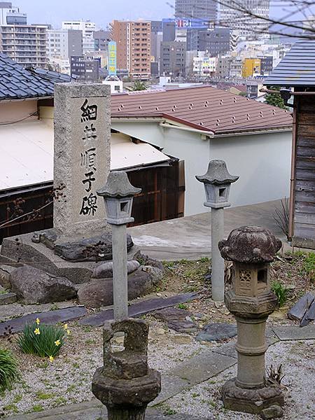 日本‧福井(十四)‧賞櫻(一)‧足羽山(Fukui XIV)