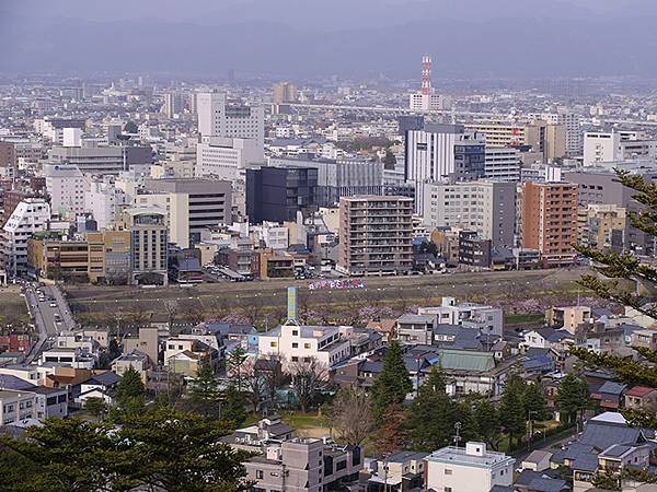 日本‧福井(十四)‧賞櫻(一)‧足羽山(Fukui XIV)