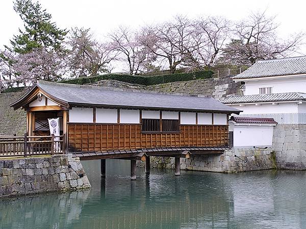 日本‧福井(十五)‧賞櫻(二)‧足羽川、福井城(Fukui 