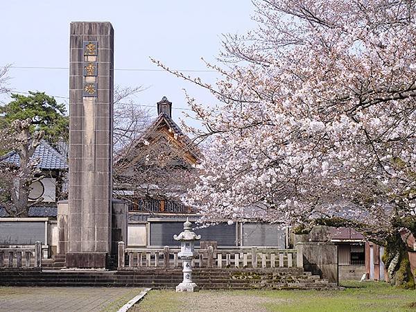 日本‧福井(十七)‧賞櫻(四)‧武生(Fukui XIV)