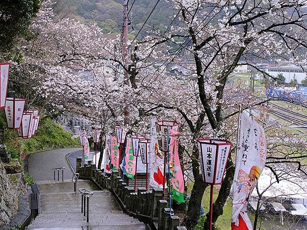 日本‧福井(十八)‧賞櫻(五)‧敦賀(Fukui XIV)