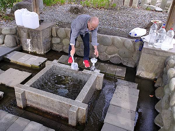 日本‧大垣賞櫻(上)‧大垣城(Ogaki I)