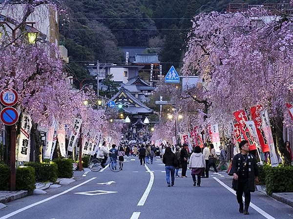 日本‧歧阜(二)‧道三祭(下)‧神社祭典和宵宮(Gifu I