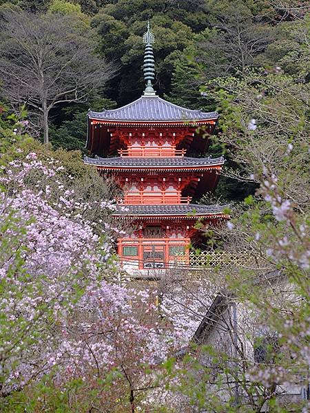 日本‧歧阜(三)‧歧阜公園及周邊(Gifu III)