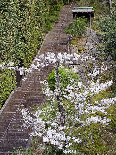 日本‧歧阜(三)‧歧阜公園及周邊(Gifu III)