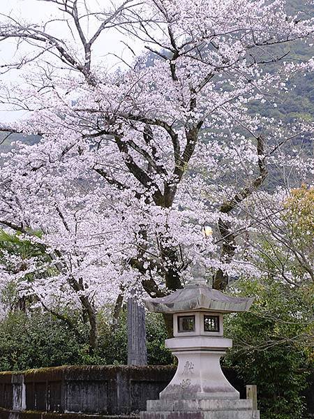 日本‧歧阜(三)‧歧阜公園及周邊(Gifu III)