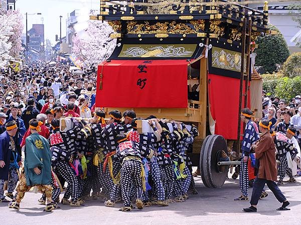 日本‧犬山祭(下)‧遊行與夜車山(Inuyama Matsu