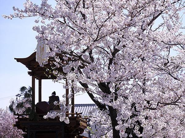 日本‧犬山祭(下)‧遊行與夜車山(Inuyama Matsu