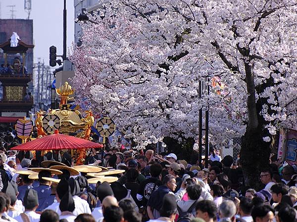 日本‧犬山祭(下)‧遊行與夜車山(Inuyama Matsu